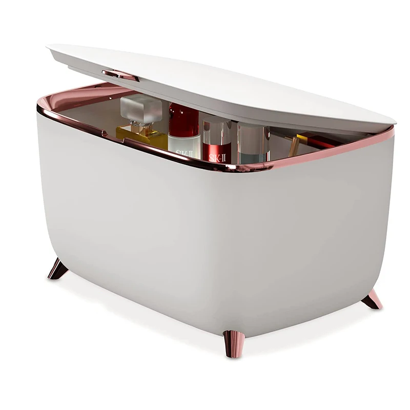 Factory Supply Mini Skincare Fridge 6L 10L Adjustable Hot Cold Eco Skin Care Beauty Fridge For Bathroom Home Car