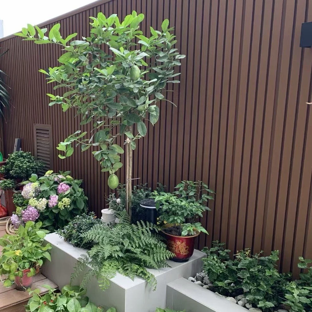 fluted wall panels fence wpc wood composite covering siding for garden yard