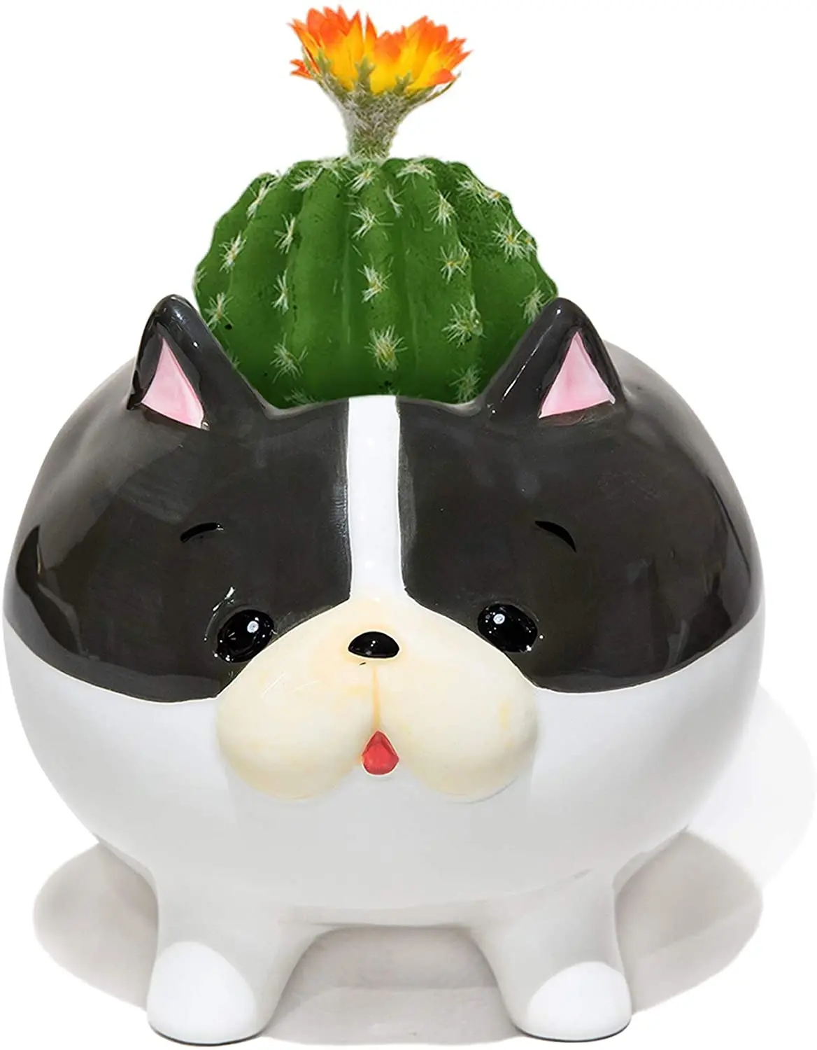 Animal Succulent Plant Pots, Buymax Mini Doggy Shape Succulent Planter Handmade Ceramic Plant Pot - Cute Dog Planter for Plants