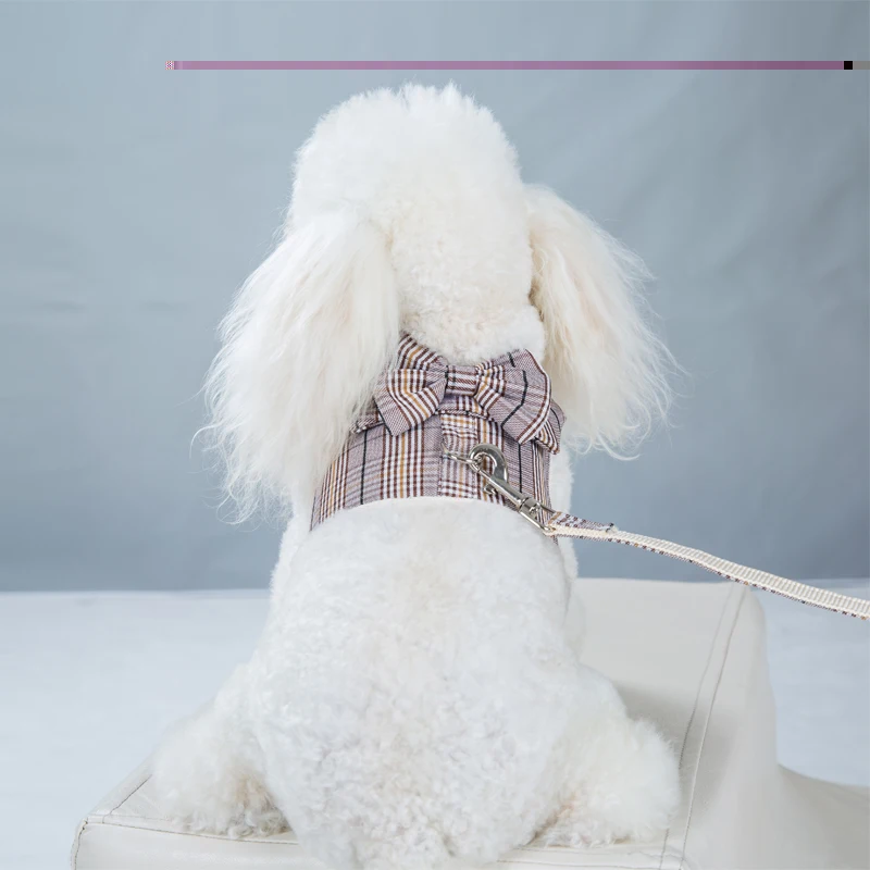 Dog Harness Set Custom Personalized New Pet Chest Strap Couple Costume Vest Dog Towing Rope Set Pet Supplies