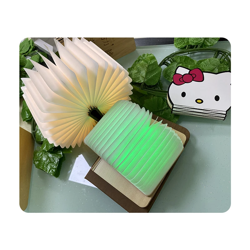 
Best Seller Beautiful Portable Creative Small Book Table Lamp 3D Night Light For Book USB 