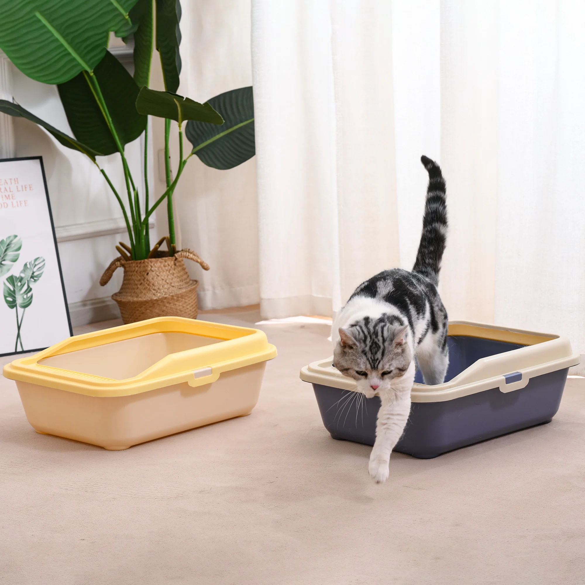 Open Design Cat Litter Box Colorful and Easy Cleaning for Small & Large Cats Pet Accessory