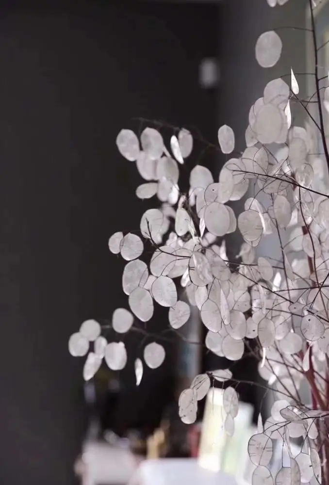 Yunnna Cheap Real Wedding Dried Flower Bouquet Dried  globe amaranth Flower Gomphrena Globosa