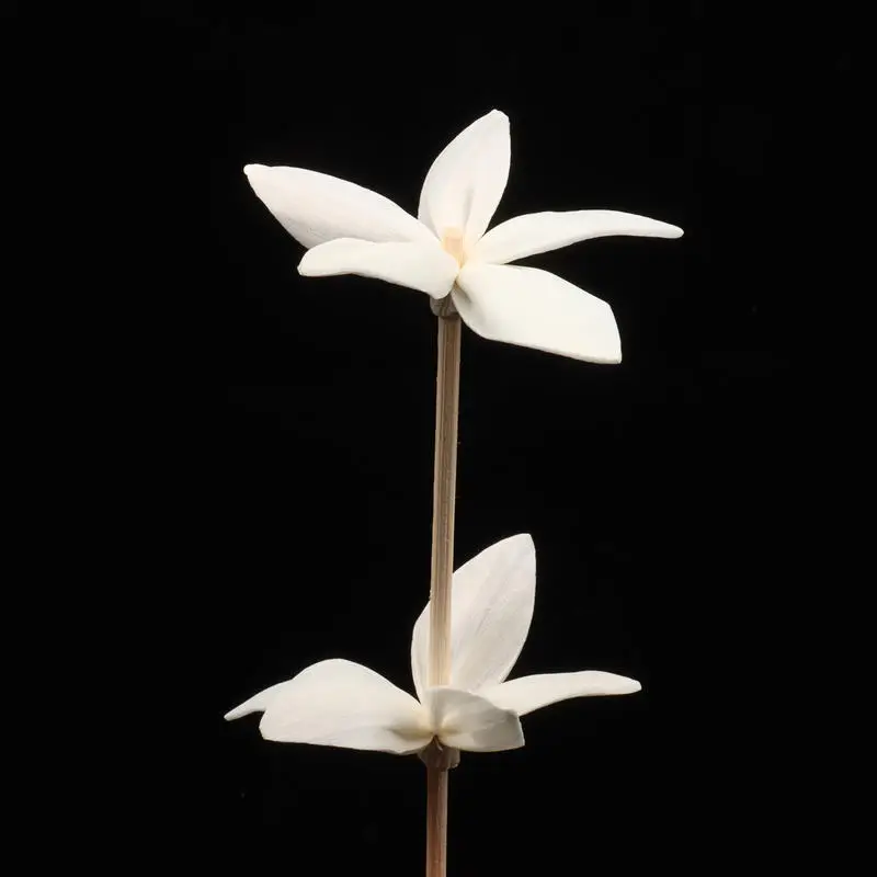 wholesale premium 20mm flower reed diffuser natural essential oil stick rattan rod scented sticks with cherry blossom flower