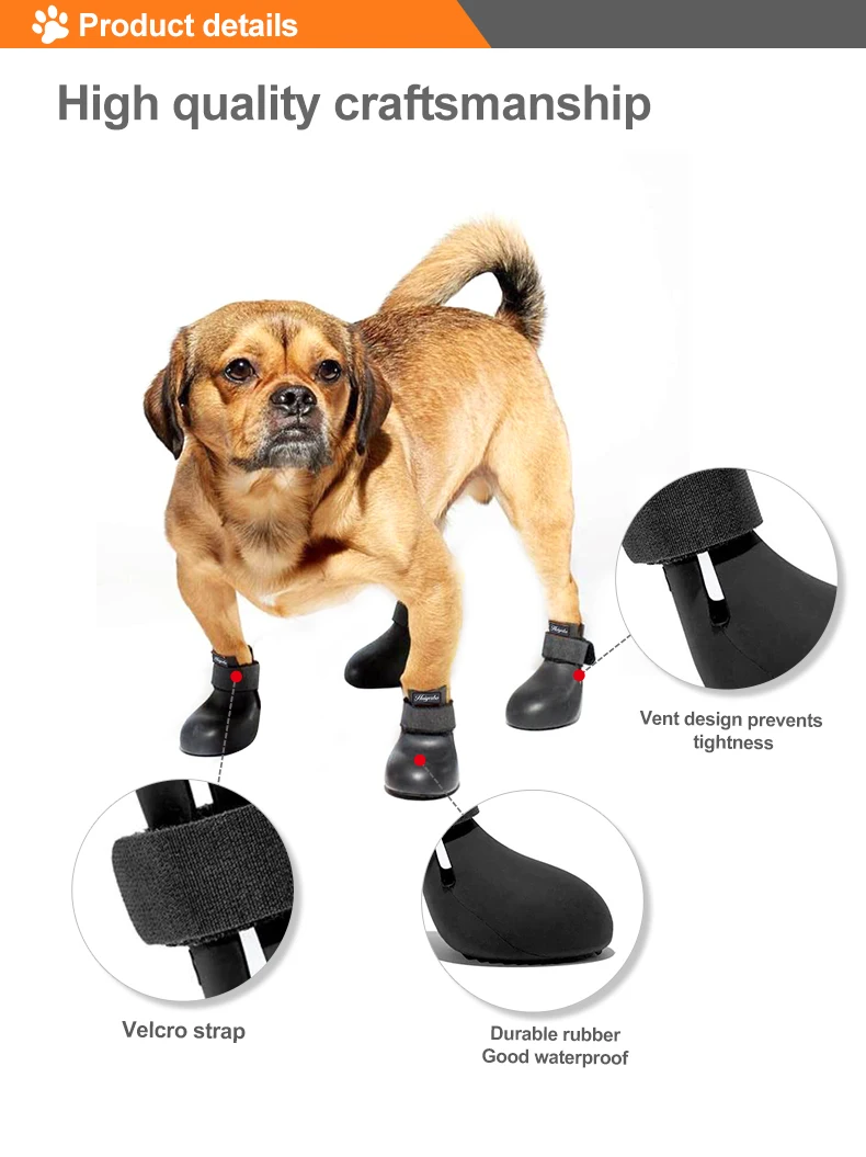 05Rain dog shoe.jpg