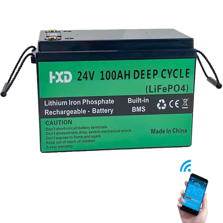 LiFePO4 Battery Pack 12V 24V 100Ah Li-ion Battery Pack for BMS 24V 8S 100AH Solar System RV Boat Camper Vans