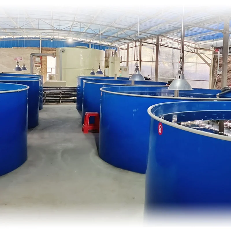 eWater Salt Water and Fresh Water Aquarium Fish Tank or Fish Pond For Above Ground Fish Farming System
