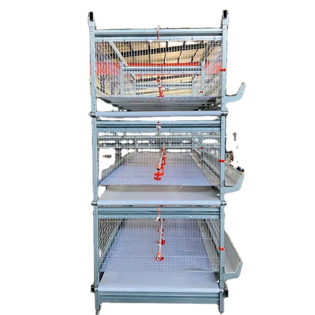 Hot Sale Chicken Feeding House Automatic Chicken Cage With  Manure Removal Machine