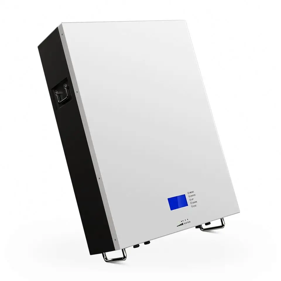 Прямая Продажа с завода литий-ионный аккумулятор 5Kw 48V 1000W