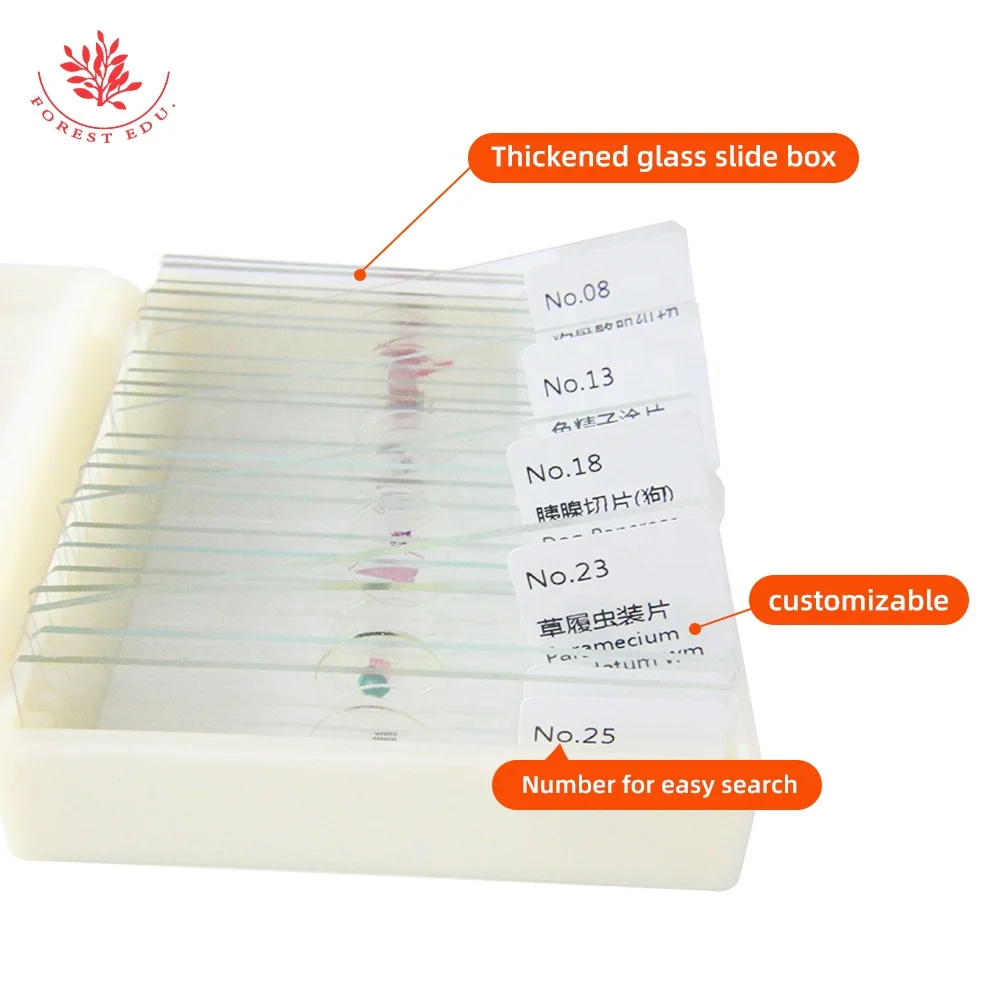 25 Pieces Zoology Microscope Slides Prepared Slides Set Zoology Histology Microbiology Microscope Slides