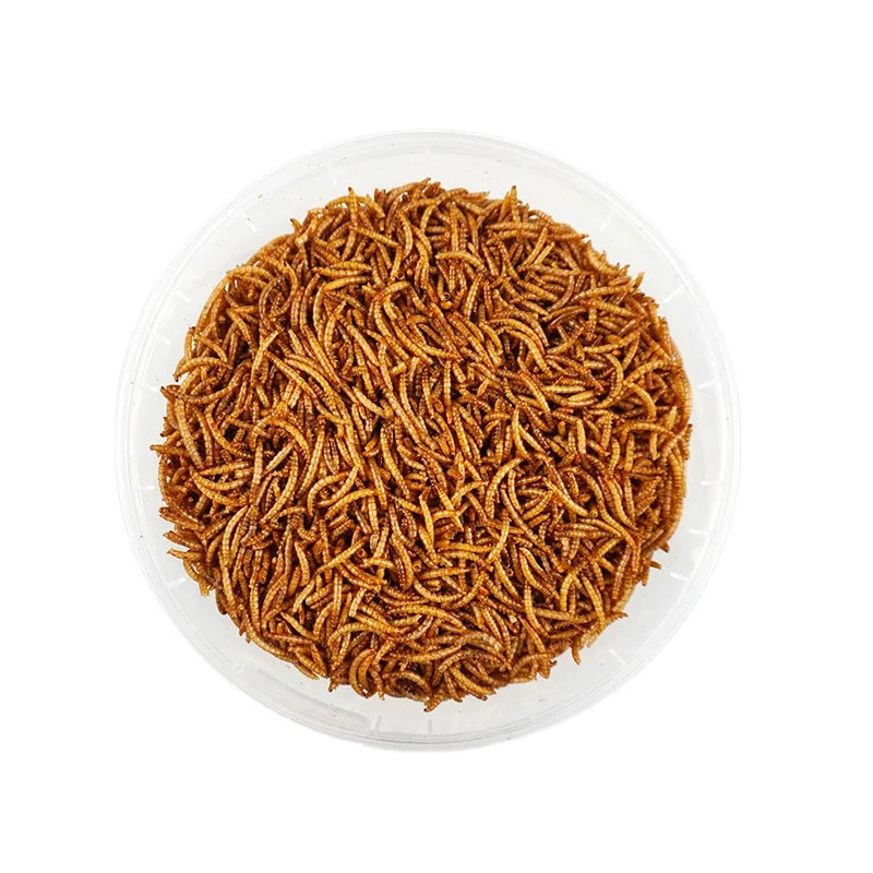 Mealworm Meal Insect Flour Insect Dry Powder