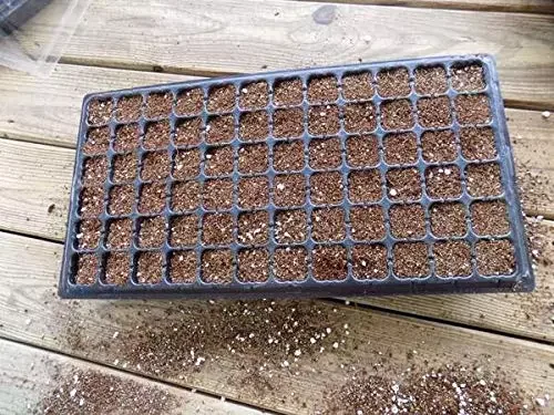 Vegetable Chili Pepper Succulent Strawberry Grow Seedling 72 Hole Tray PS Material 150g 100pcs Seedling Tray