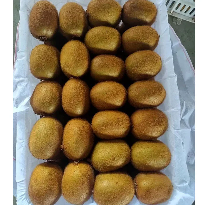 Wholesale price hayward fresh Kiwi fruit for export