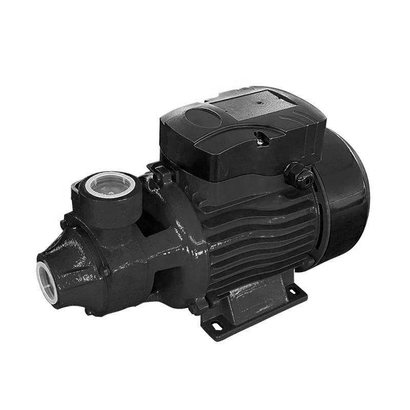 QB60 Hand Water Pump Peripheral Pump Water Pump Bearing for Auto Water Sprinkler System