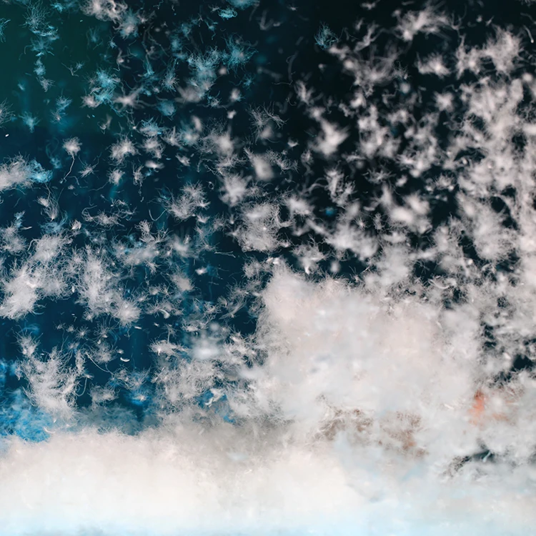 Factory Direct Sales Clothing Down Washed White Goose Down 90% Goose Down Fill For Sale