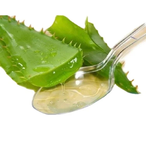 100% pure aloe vera gel