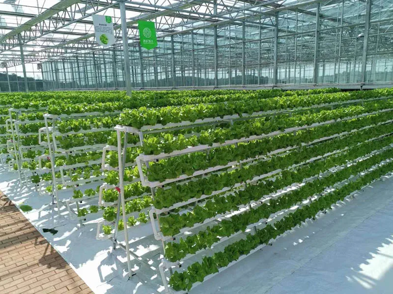 Cheap Agriculture Multi-Span Glass Greenhouse Hydroponic Greenhouse For Sale
