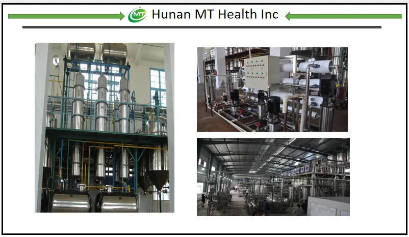 Factory MT Health.png