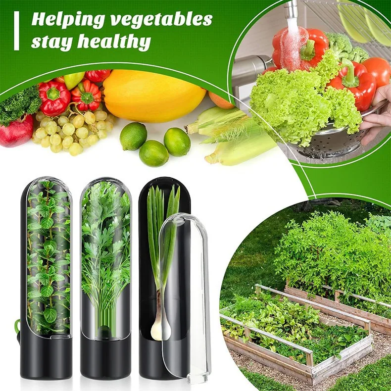 Herb Saver for Refrigerator Fresh Herb Keeper Herb Saver Pod Containers for Storaging Cilantro Parsley Asparagus