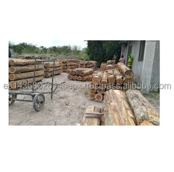 Wooden Log Material and Customizable Wood Log Slices Cabin Homes Prefab Log Quality Periodic Antenna