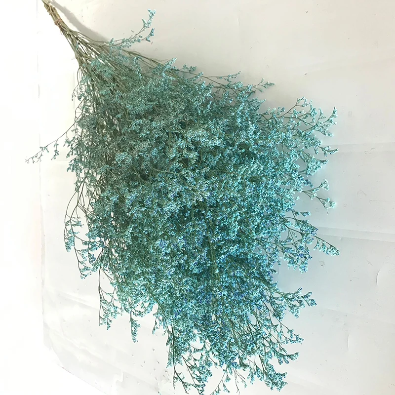 Засушенный цветок желтая влюбленная трава лимоний цветок для декоративных цветов и венков