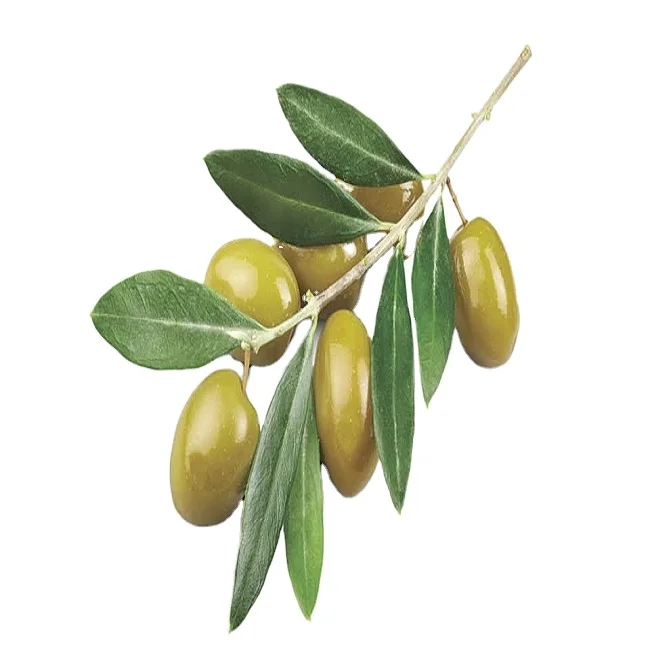 Olive oil for Cooking