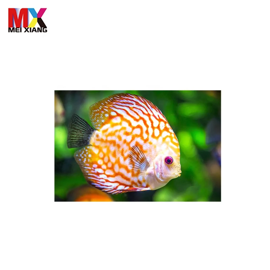 souvenir customize lenticular 3d 5d postcard with lovely animal
