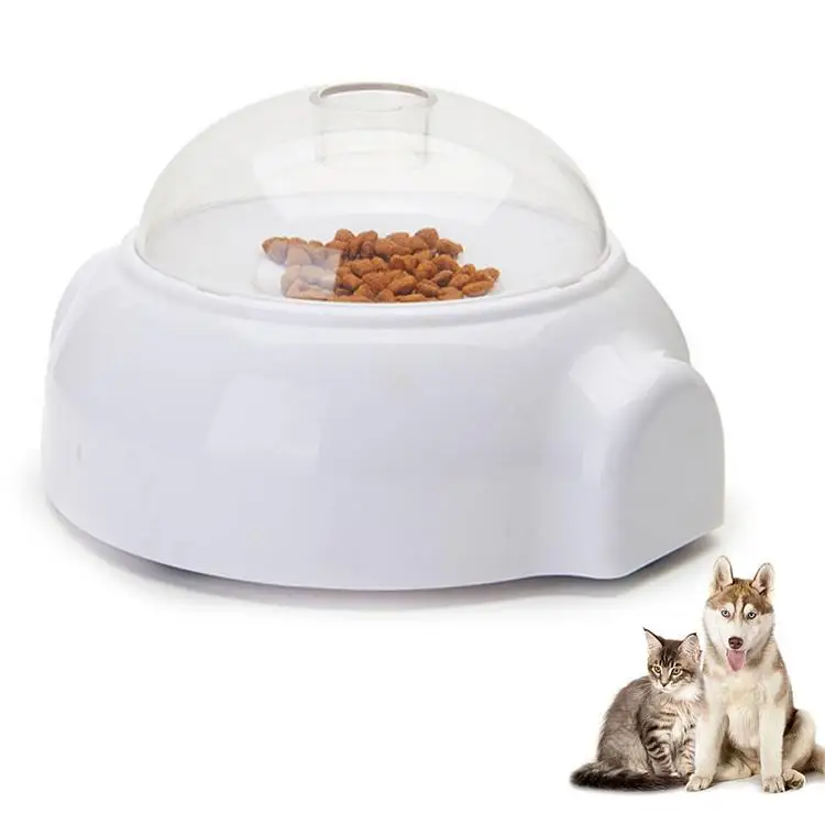 
Automatic Dog Feeder Bowls Funny Cat Food Dispenser Pet Feeders 