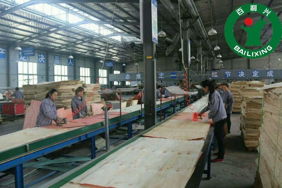 4*8Ft 12mm Strong Water-proof Wear Resistance Impact Resistance High Quality Hardwood Formwork Plywood Film Faced Plywood