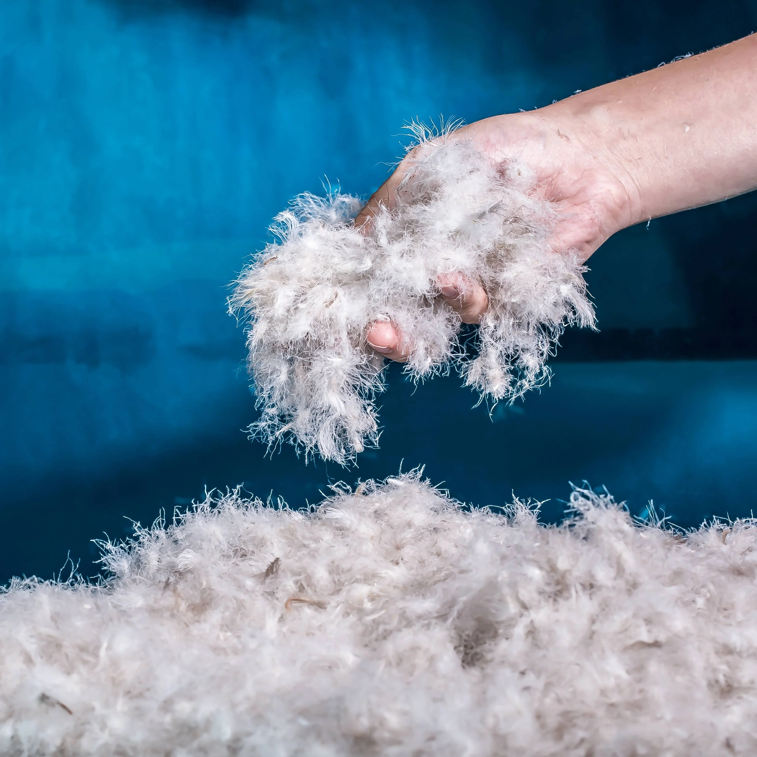 
Wholesale High Quality Washed 60% Gray Duck Down Feather Down Raw Material From China 