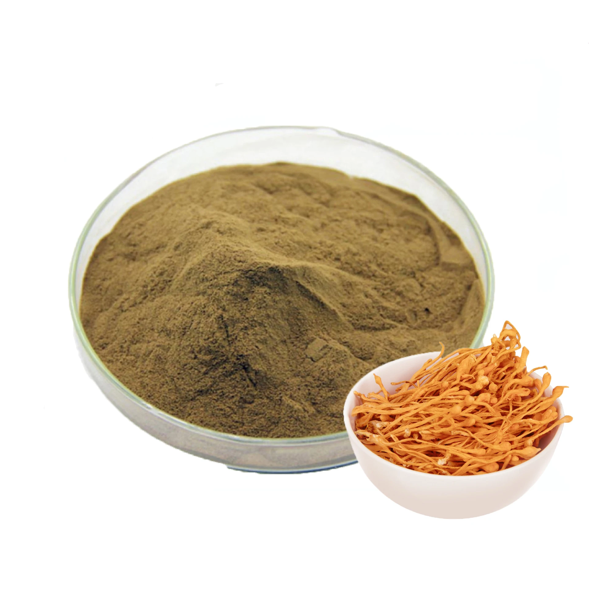 Прямая поставка с завода высококачественный экстракт Кордицепса милитари