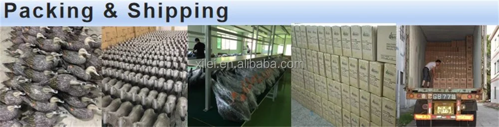 Packing shipping.jpg