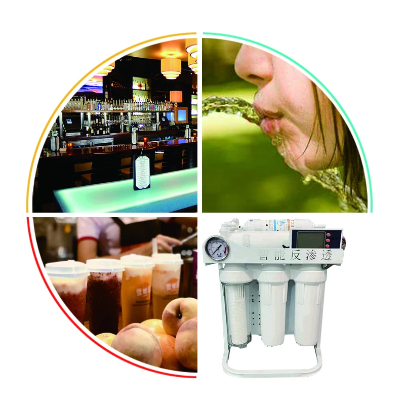 75 GPD Alkaline 6 Stage RO Reverse Osmosis System House Water Filter Manufacturer Water Purifier for Home Use with Storage Tank