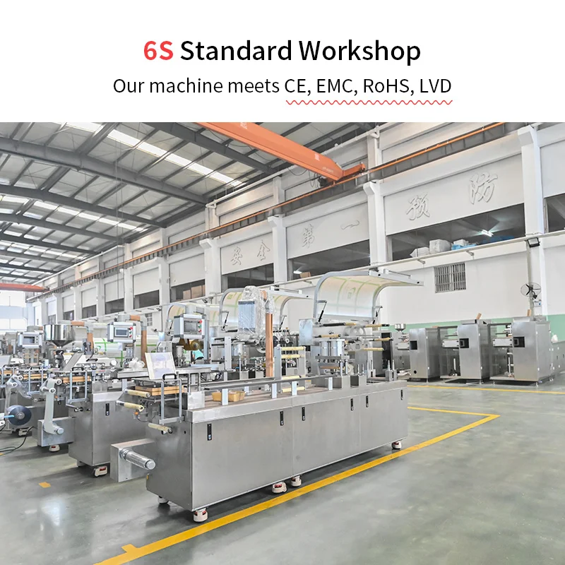 DPP-260R Pharmaceutical Pill Tablet Capsule Package Sealing Automatic Pharmacy Blister Packing Machine