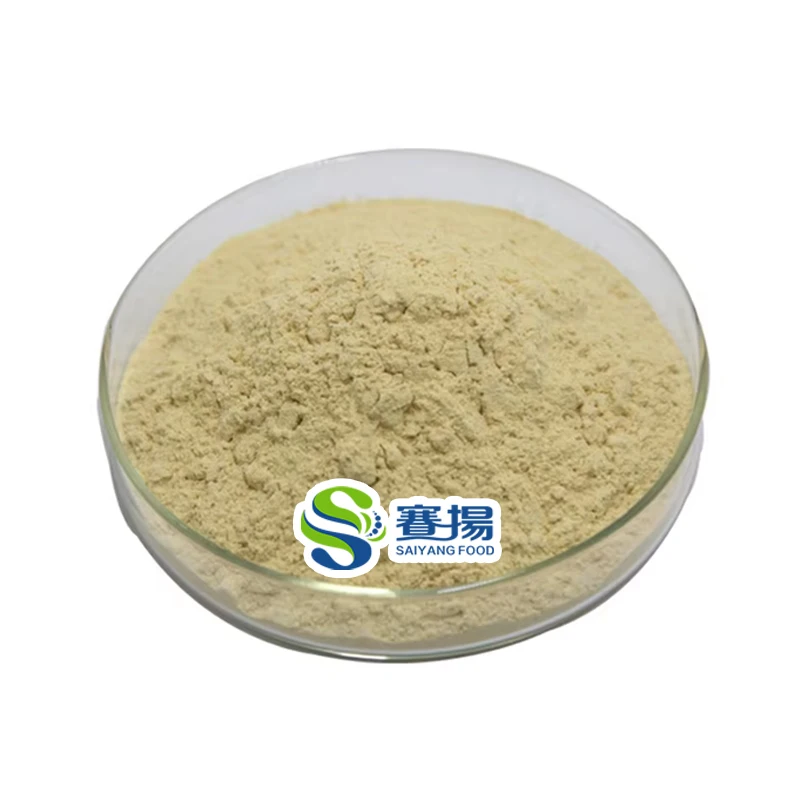 ISO Factory Supply Herbal Extract Ginsenosides 80% Red Raw Panax Ginseng Root/Leaf Extract