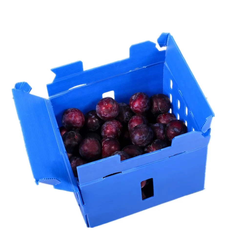 Factory direct waterproof plastic cartons for vegetable and fruit cartons and agricultural asparagus boxes