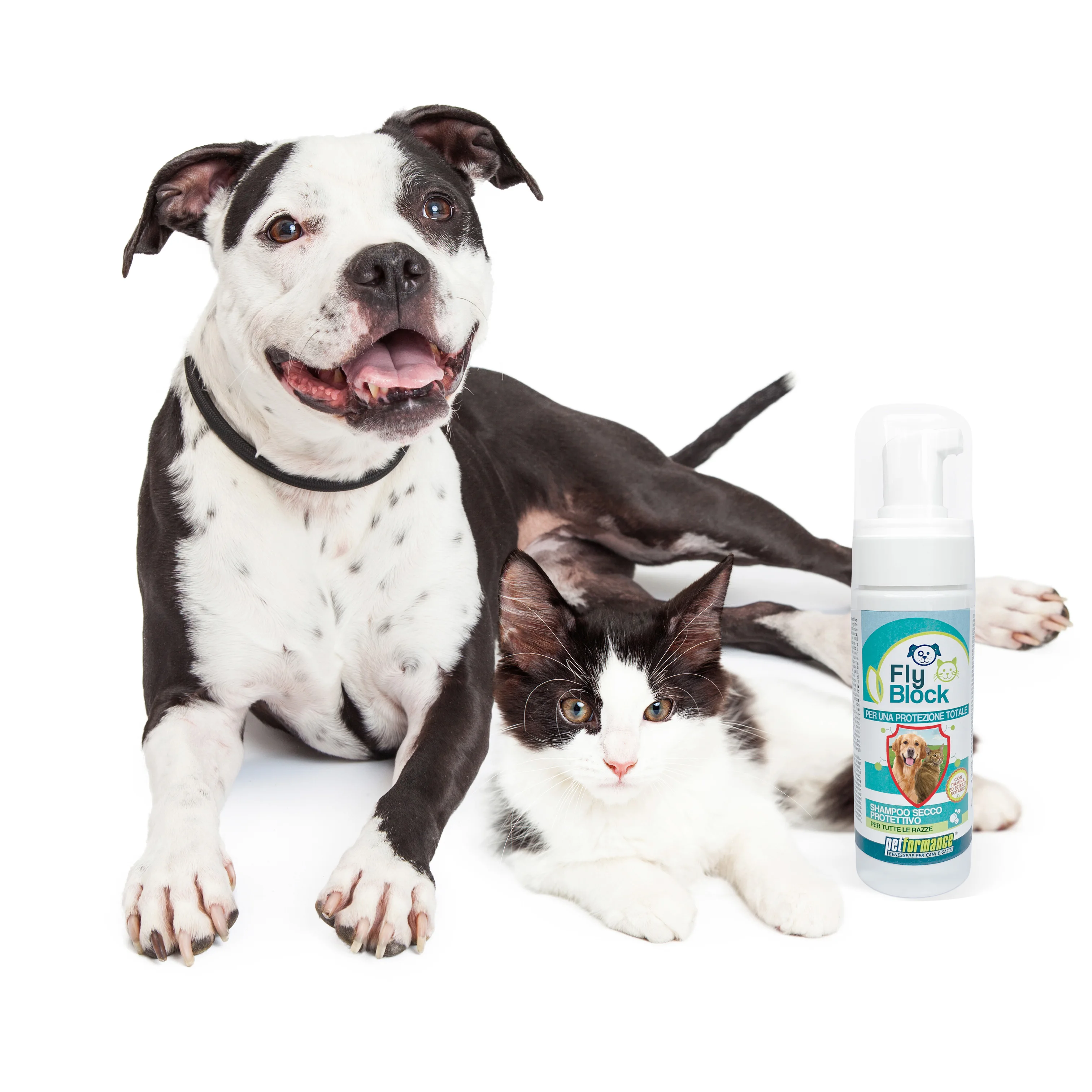 Hot Selling Italian Brand Naturally Cleanses The Coat And Skin Flyblock Dry Shampoo For Dogs And Cats