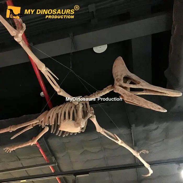 Лучший реалистичный каркас Велоцираптора MY DINO DS022 из