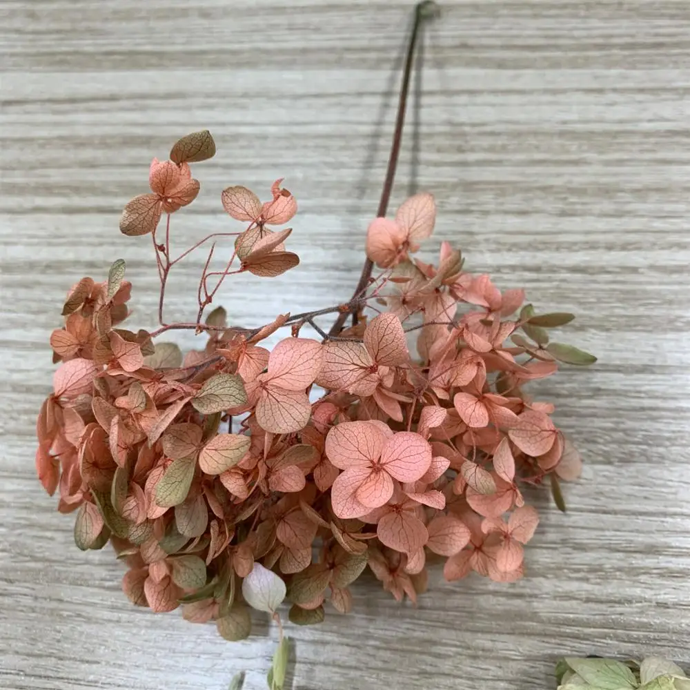 Preserved hydrangea  small leaf real touch hydrangea dried hydrangeas for flower DIY