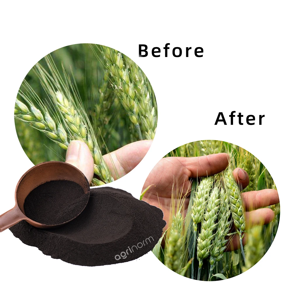 Agriculture Black Granular Humic Acid Plus Amino Acid Bio Shiny Granules Biostimulant Organic Fertilizer