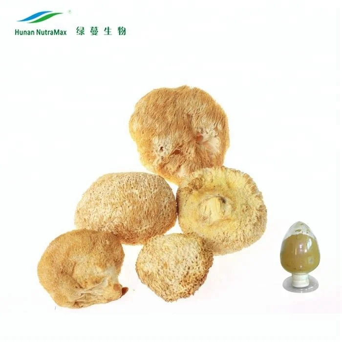 Порошок из полисахаридов экстракт гриба эринейса