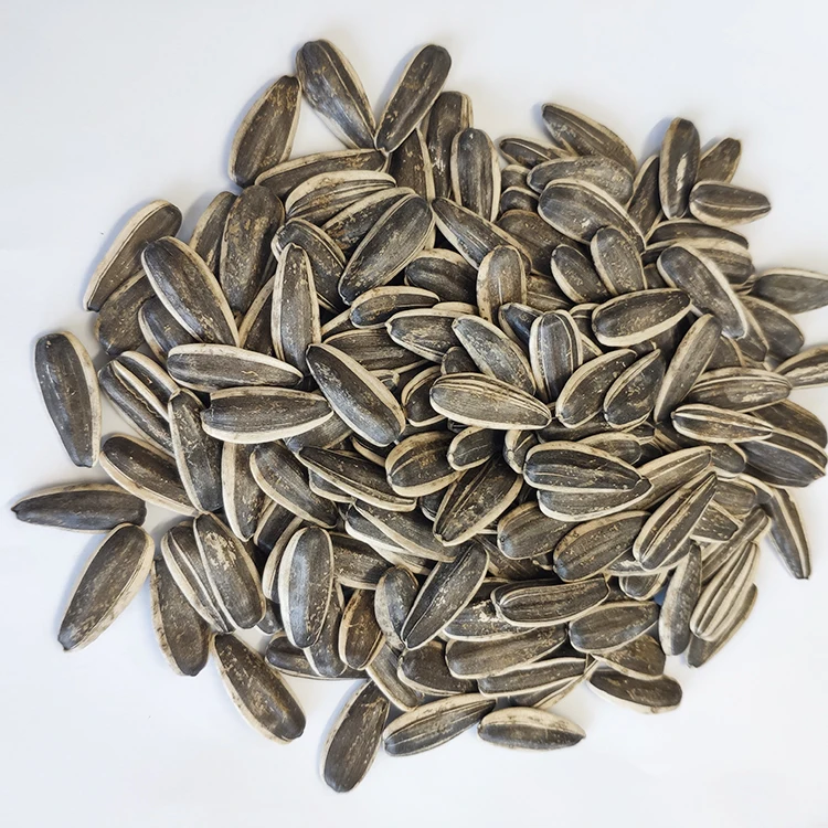 Crop sunflower seed 5009 market price for sale with export sunflower seeds