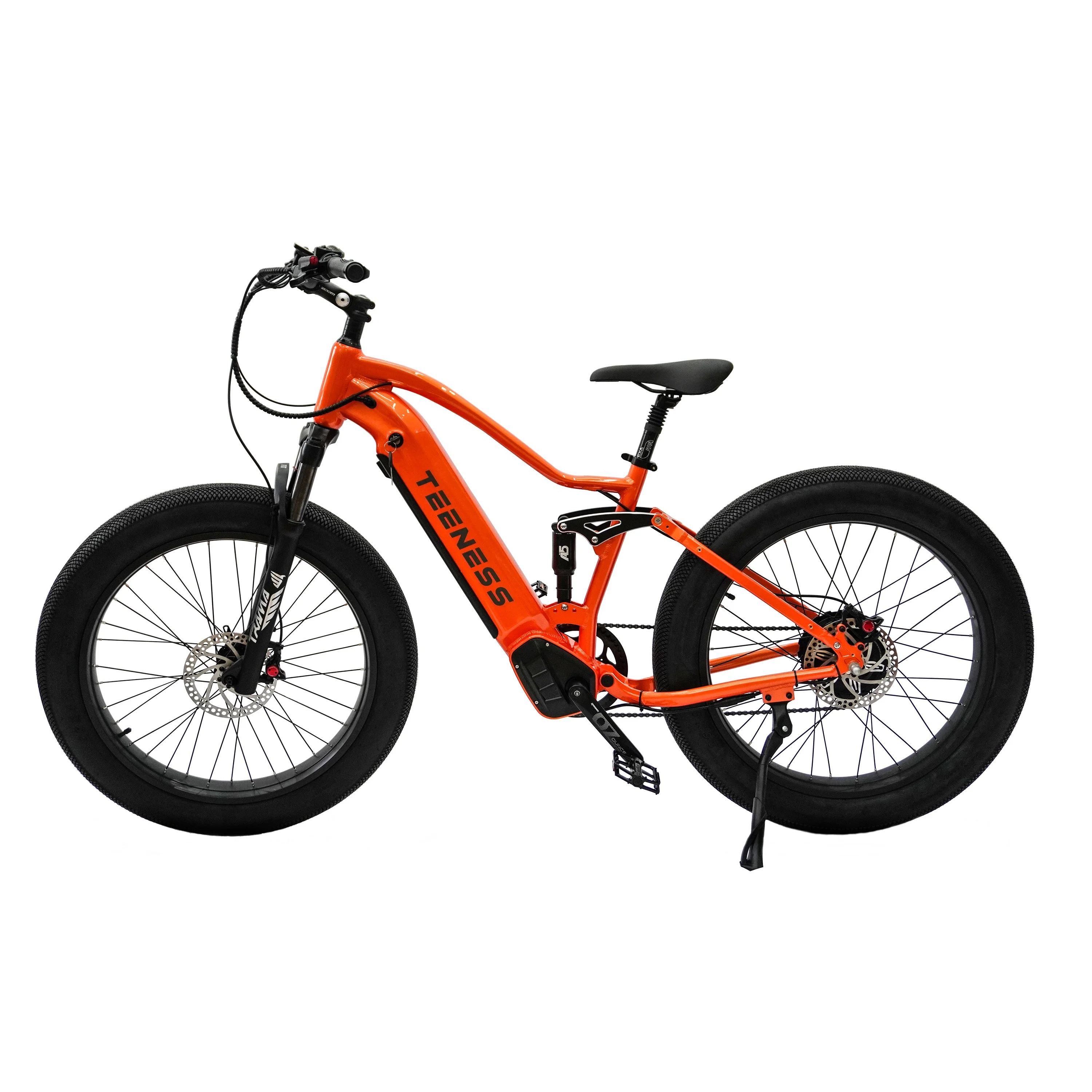 Fat tire beach electric bikes boy 750W electric dirtbike 250W 350W 500W 1000W ebike motocross bike