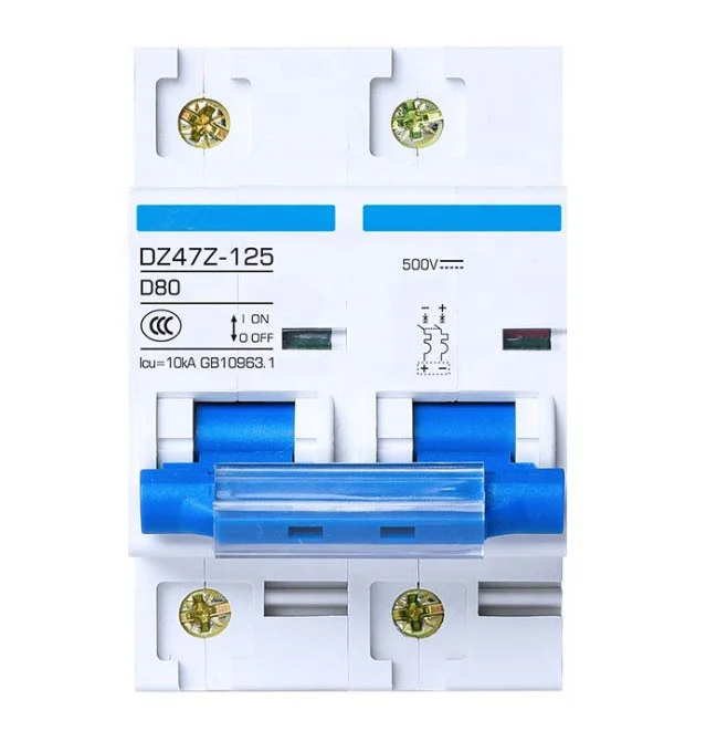 SeanRo 80 100 125 Amp 550VDC 1000V 125A 2 Poles Miniature Circuit Breaker Overload Protector DC MCB for solar system mini switch