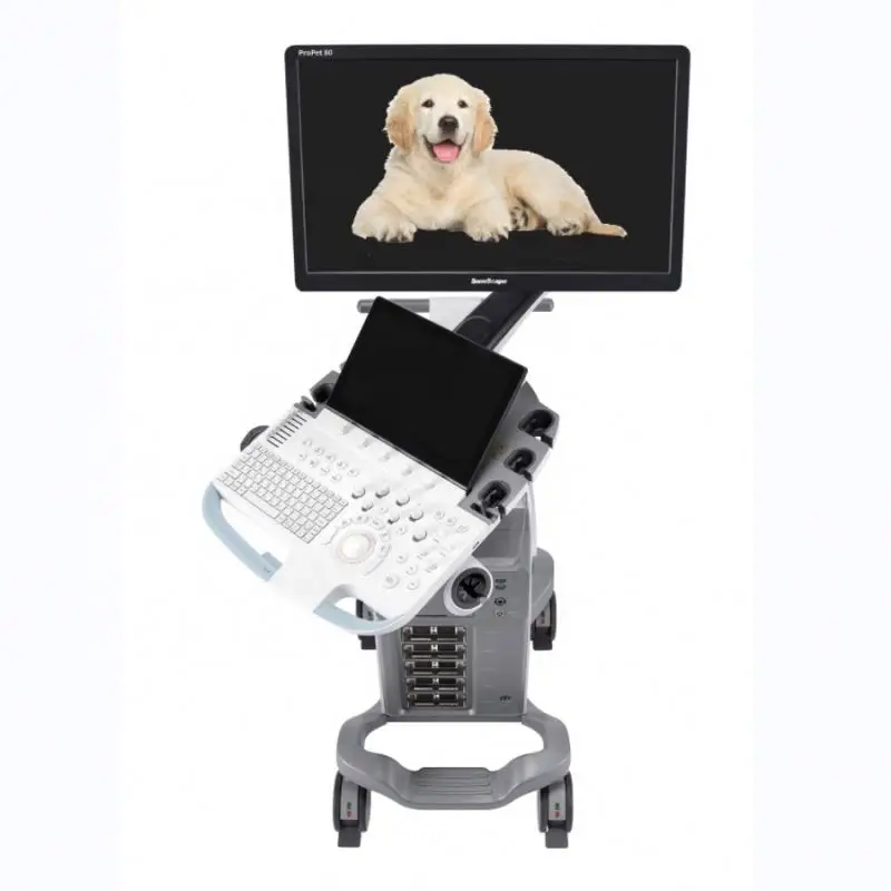 4D/5D Ultrasound Machine Veterinary/17Mhz High Frequency Ultrasound SonoScape Ultrasound Imaging Diagnosis