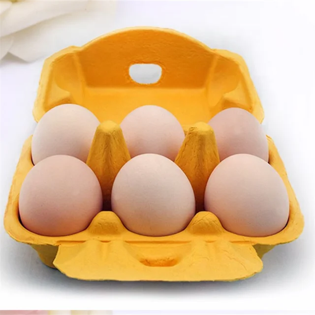 Molded Pulp customized egg carton with lid cardboard egg trays with colorful