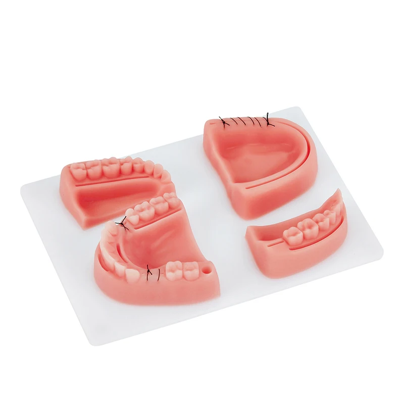 Orthodontic Suture Pad Dental Module Surgical Suture Pad Practice Kit for Medical Dental Suture Pads for Dentists Ideal for Dent