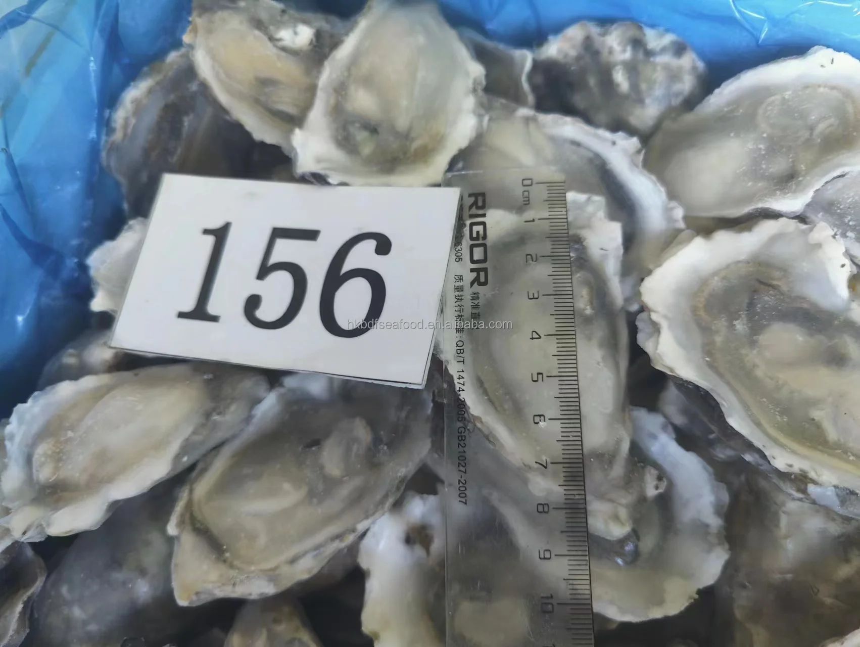 Frozen Freshwater High Quality Frozen Half Shell Pacific oyster