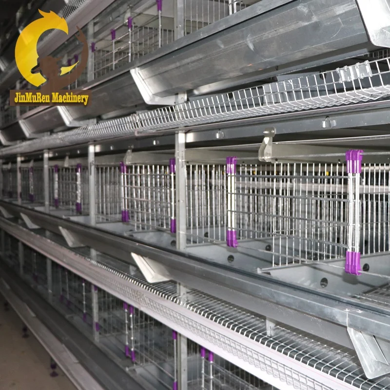 Jinmuren High quality chicken layer cage battery for poultry farming project