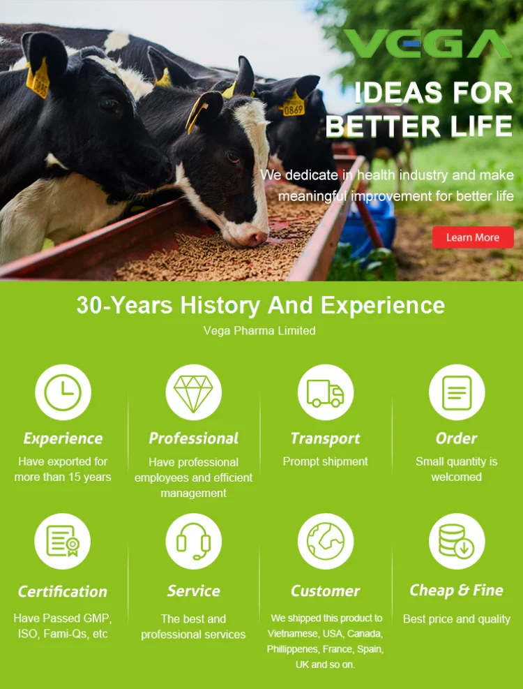 
Antibiotic L-Carnitine Base slim powder 